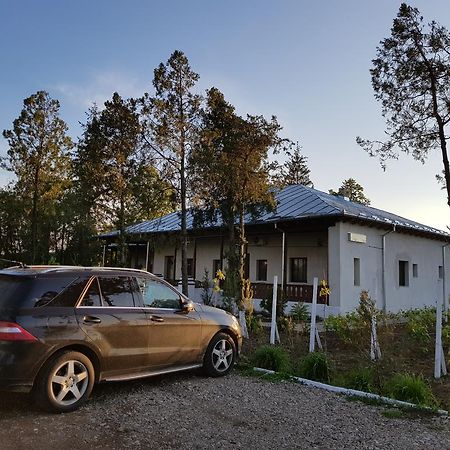 Conacul Balta Alba Hotel Luaran gambar