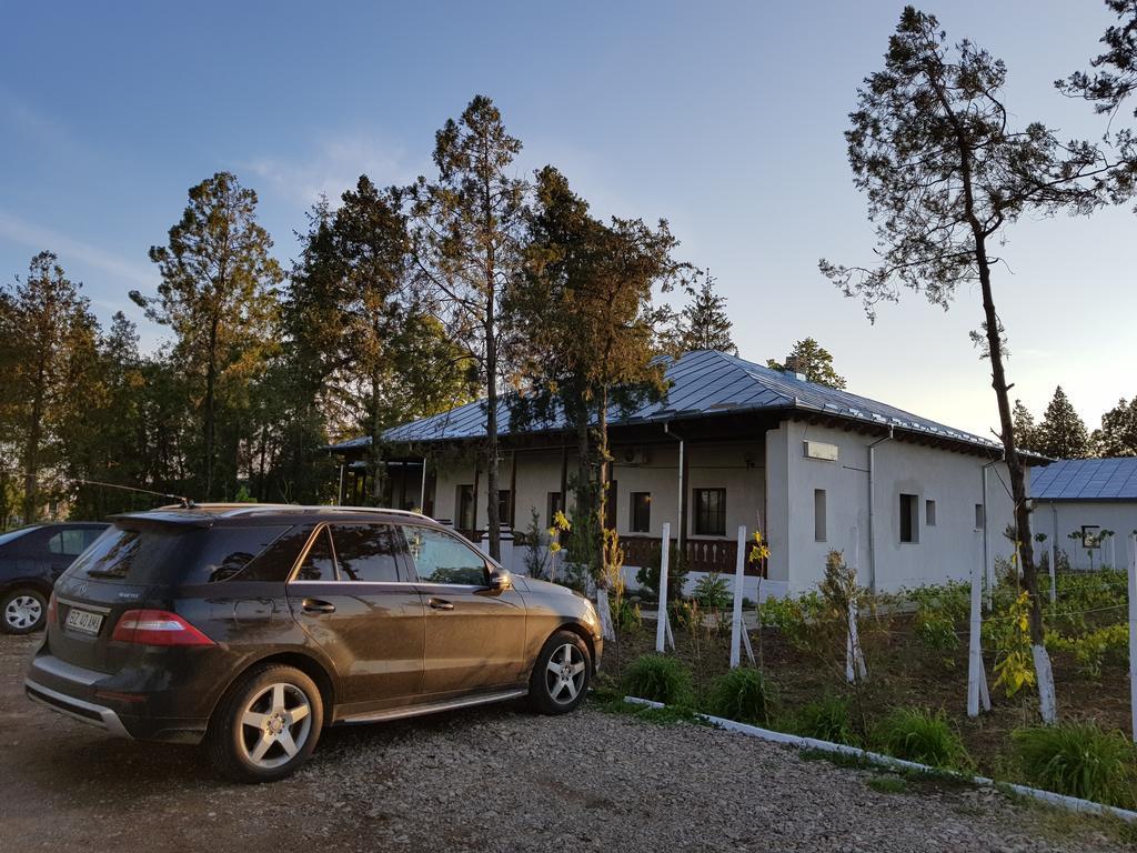 Conacul Balta Alba Hotel Luaran gambar